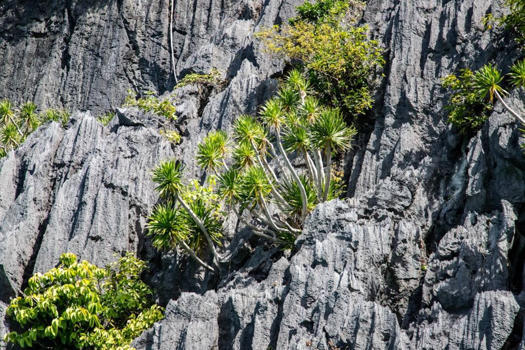 Best Time to Visit Banaue