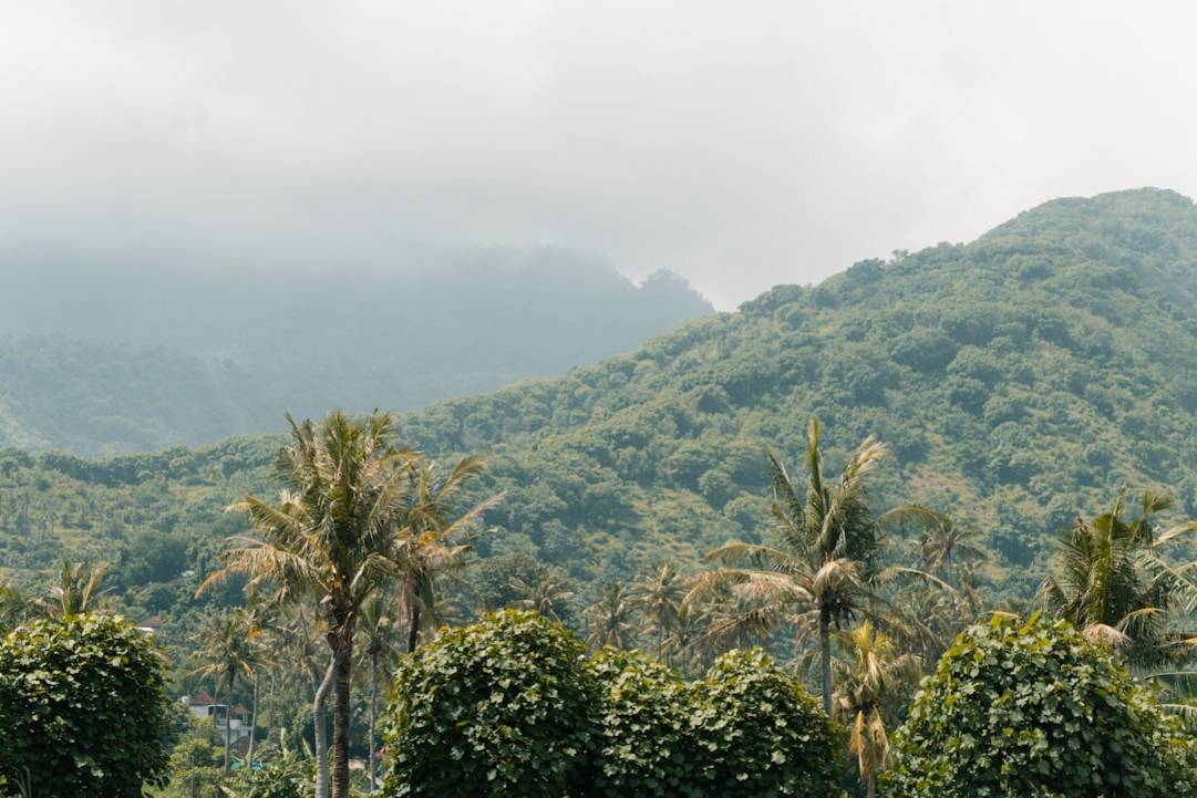 Quick overview of things to do in Amed