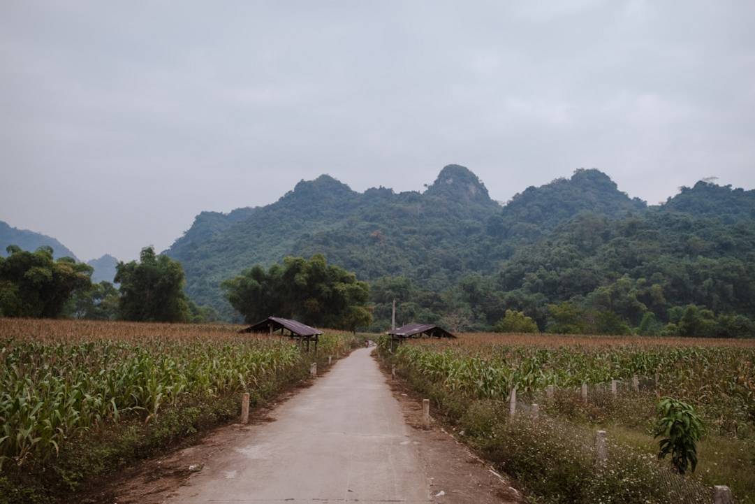 Dong Van Karst Plateau at a glance