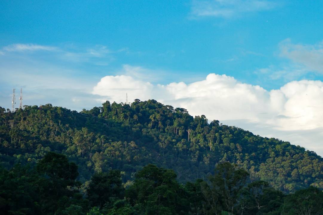 Best Time to Visit Gunung Mulu National Park