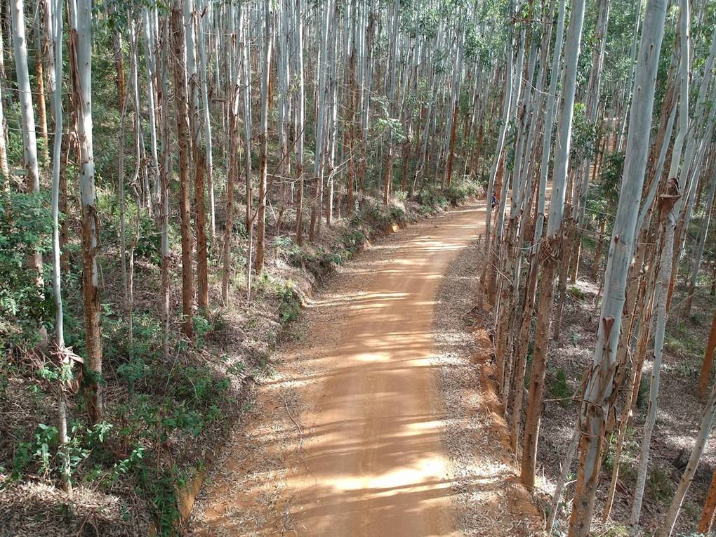 One Day Itinerary in Khao Sok