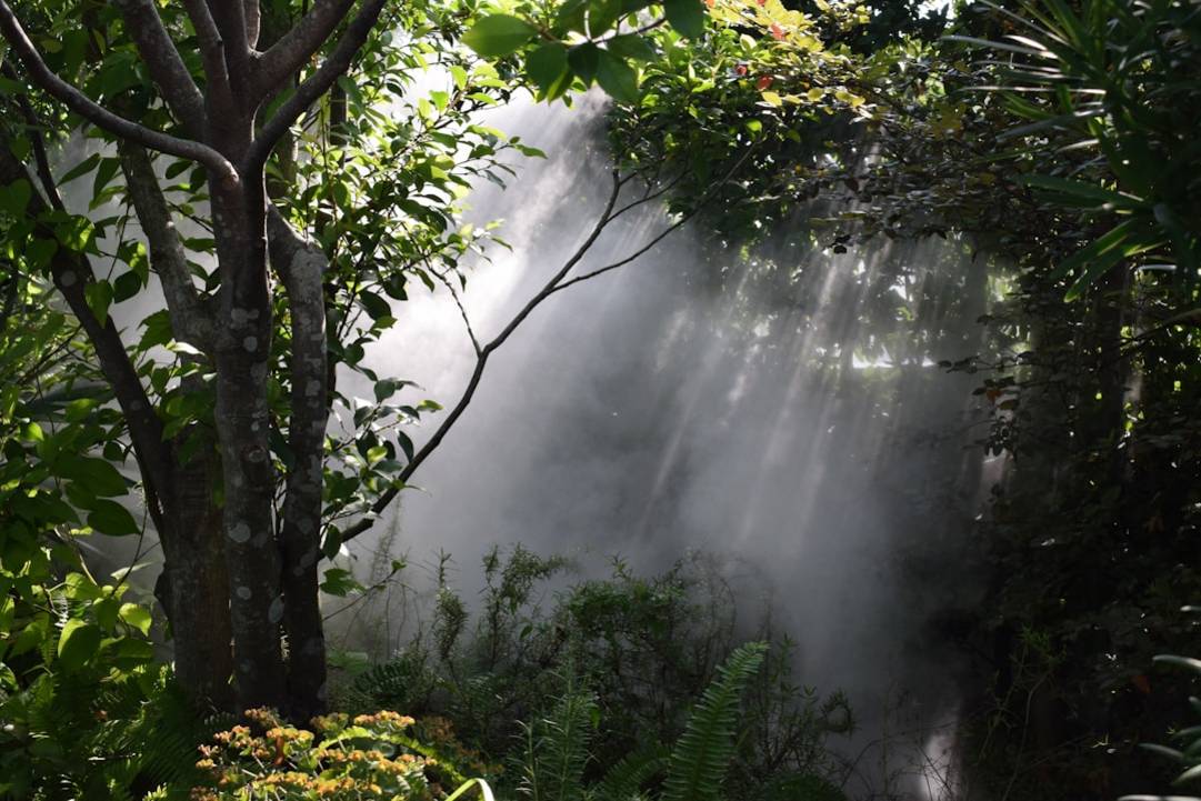 Day Trips from Kinabalu Park