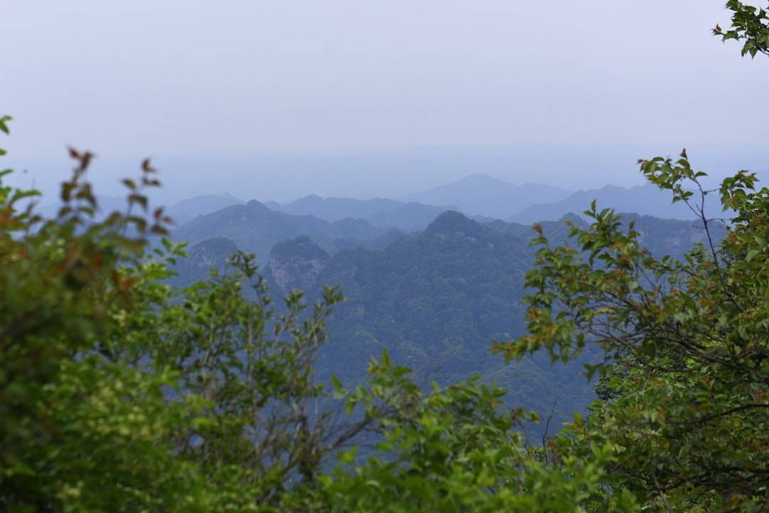 Top activities in Koh Tao