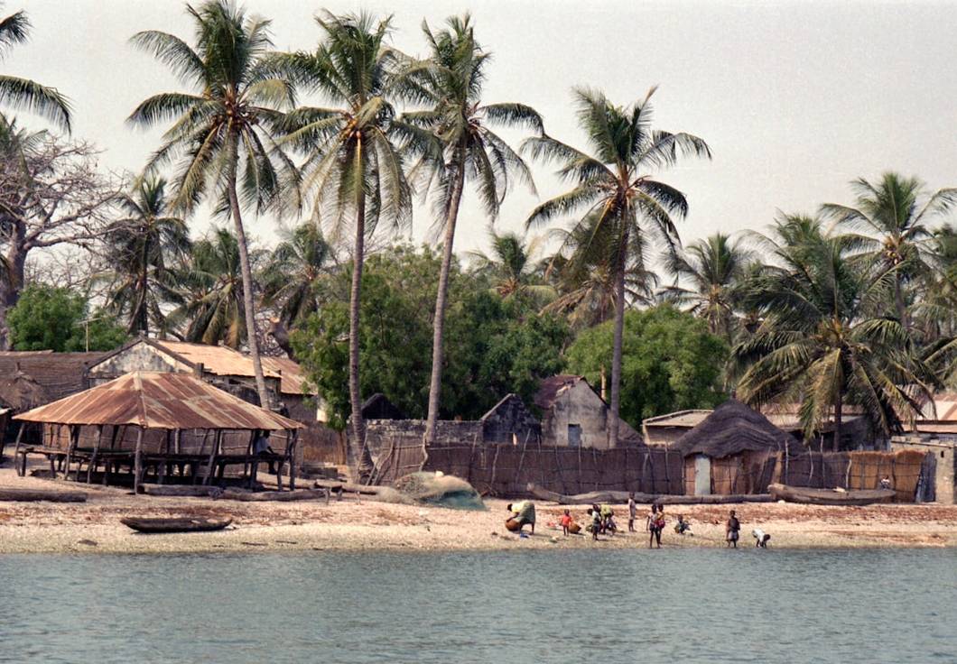 Top 5 Things to Do in Pulau Pom Pom | Picks + Quick Tips 9 Day Trips from Pulau Pom Pom