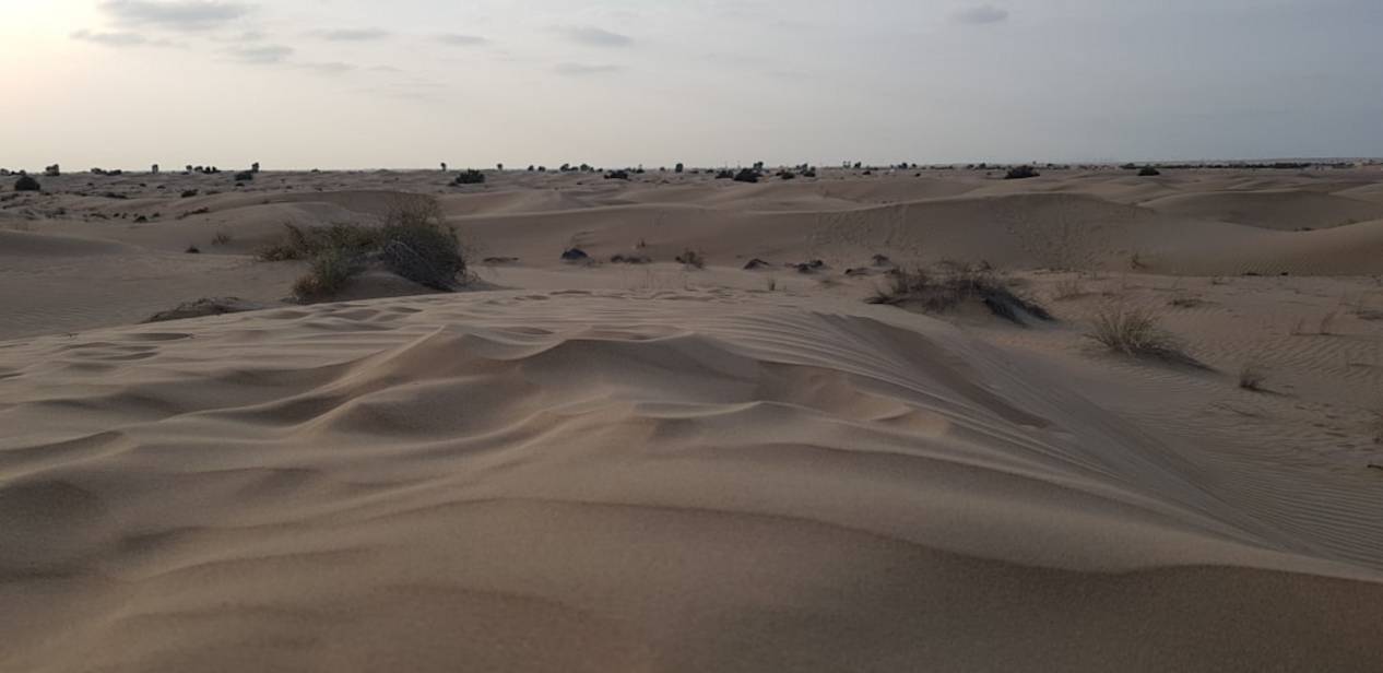 The 8 Best Rated National Parks in United Arab Emirates 3 United Arab Emirates national-parks park view 0