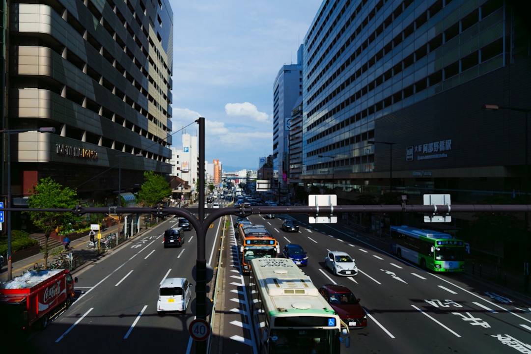 Local Cuisine Tasting Miyajima