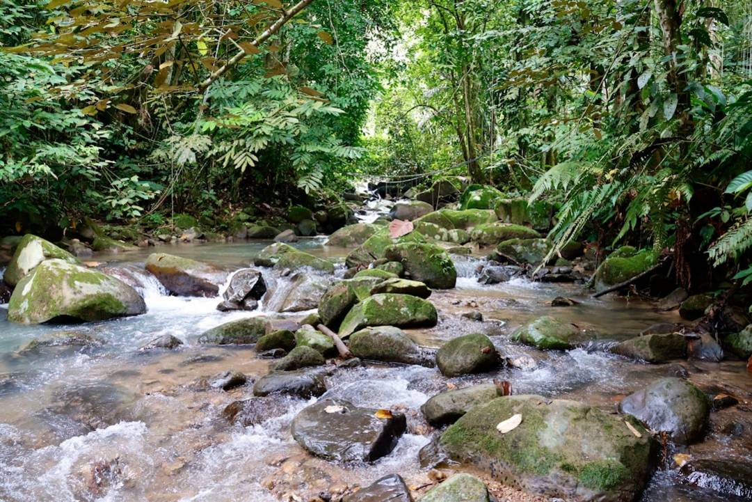 Malaysia national-parks park view 4