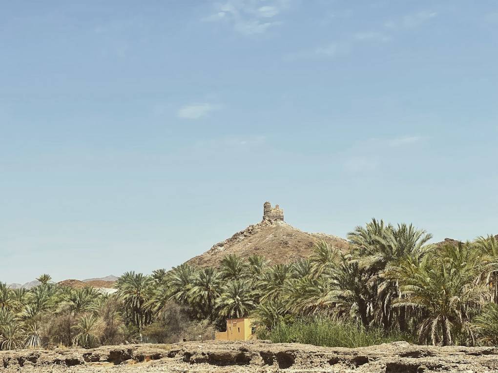 Travel insurance in Oman | Compare and get advice 2 Oman nature exploration