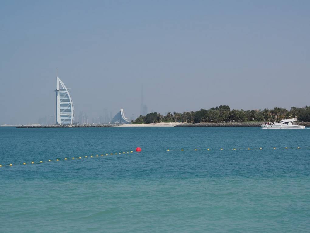 United Arab Emirates snorkeling underwater view of Snorkel Spot 4 - Abu Dhabi