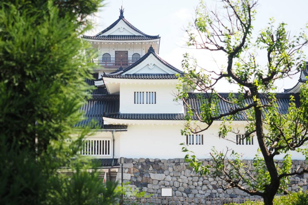 Toyama overview