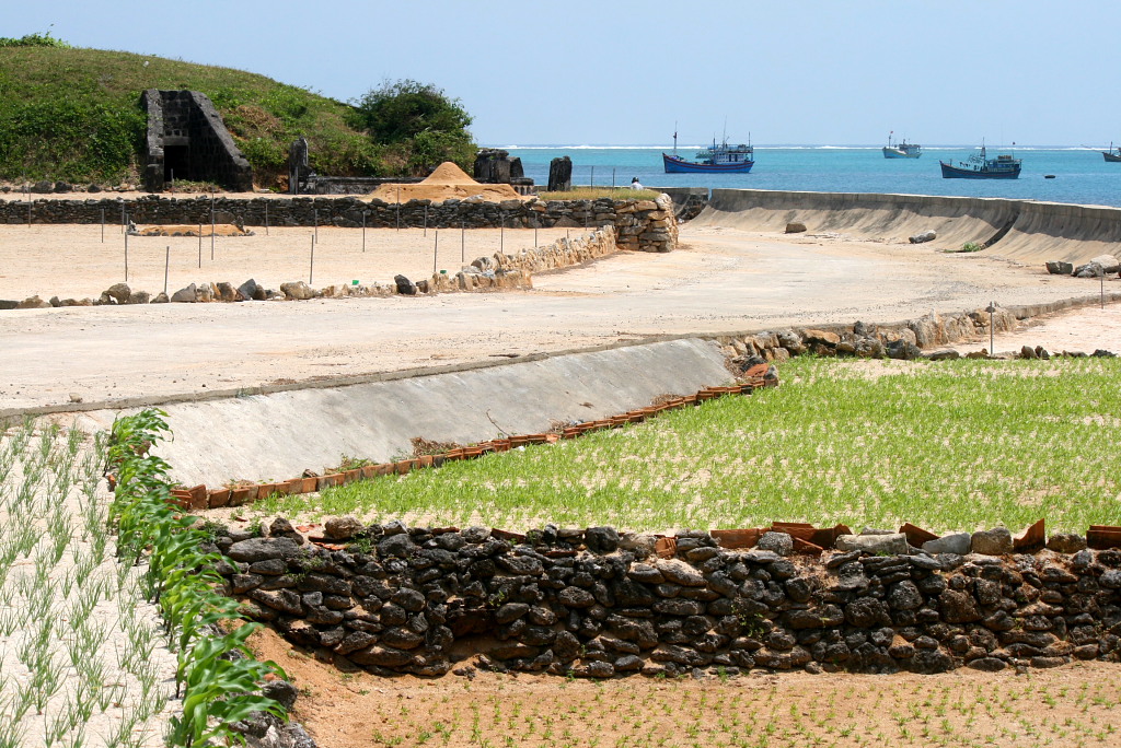 Ly Son Garlic Fields: Highlights & Hacks 3 Met stenen muren omzoomde landbouwvelden aan de kust van Ly Son Island