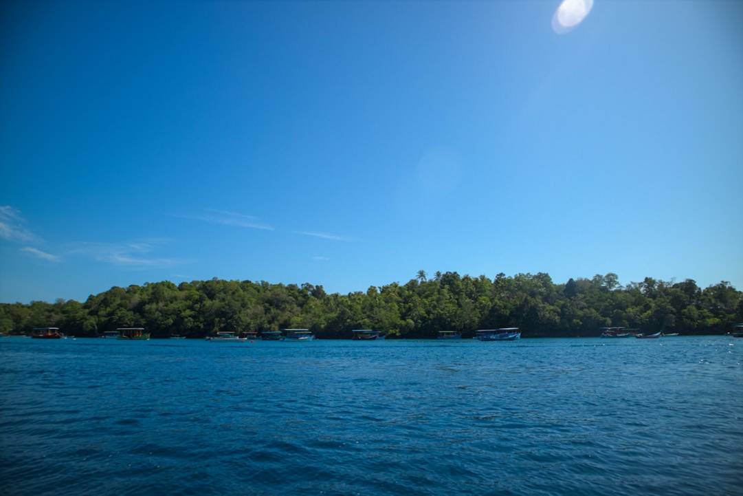 Sabang X-Ziplinesabang-x-ziplinePuerto Princesa details