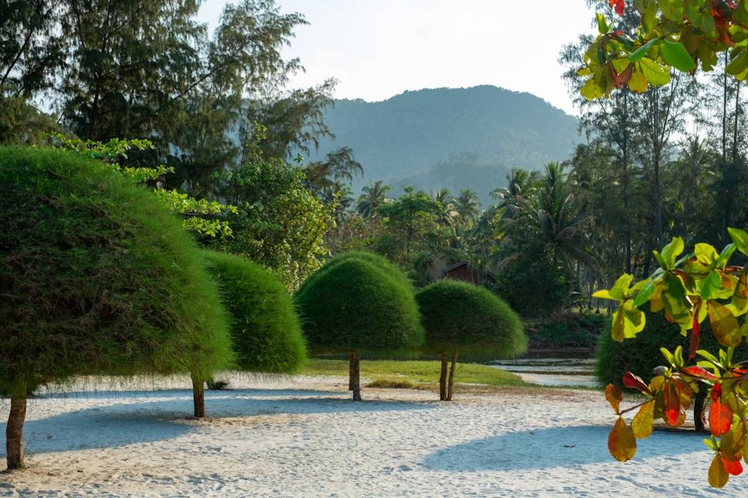 Koh Rong Koh Phangan accommodation-stay