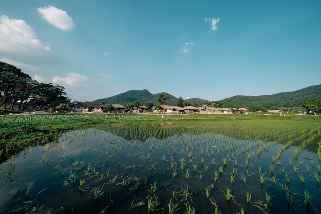 Korean Folk Village: Experience Authentic Culture Without the Crowds