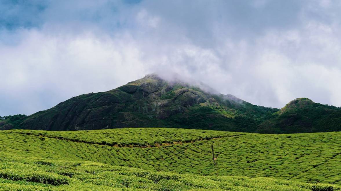 Goa Kerala accommodation-stay