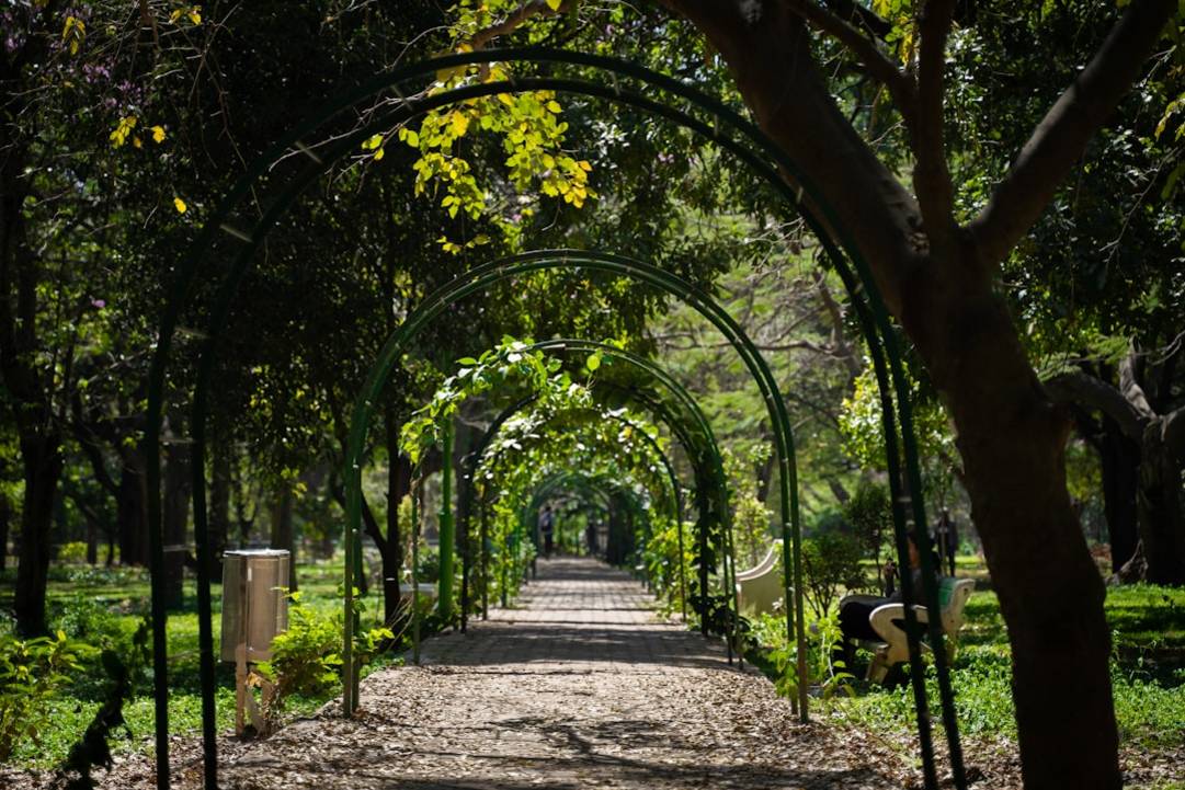 Lalbagh Botanical Gardenlalbagh-gardenBangalore highlights