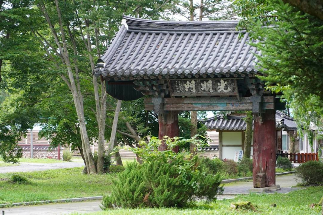 Gamcheon Culture Village: The Colorful Illusion