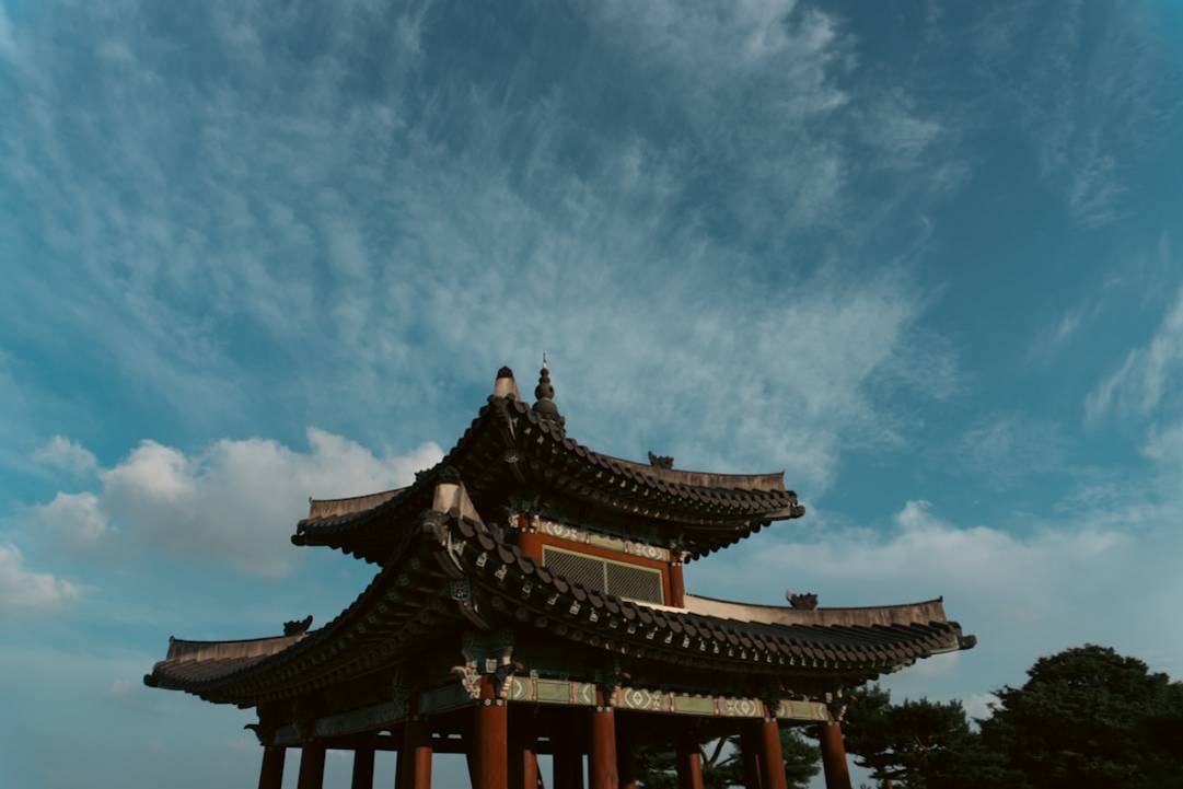 Trip Overview