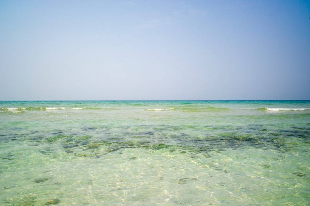 Oman diving Diving in Shark Island