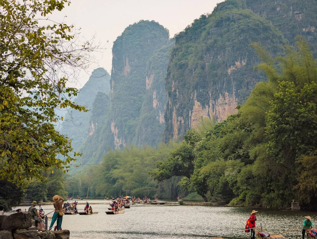 Tea Plantation Tour: Sip the Secrets of the Leaf