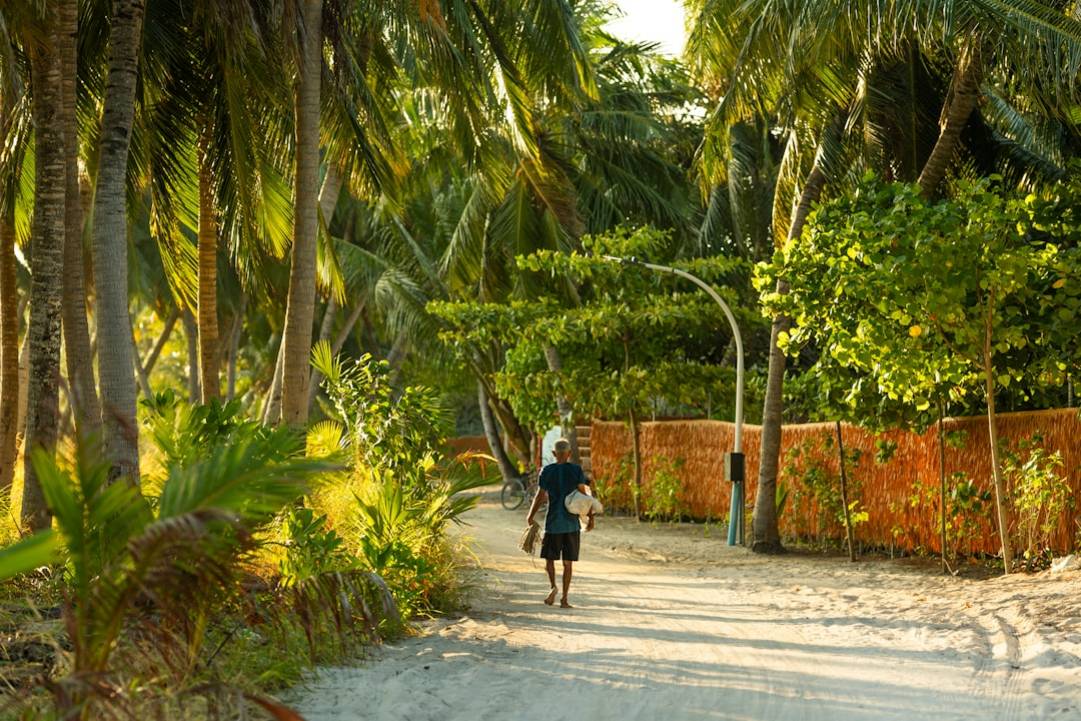 Discover the National Museum: A Journey Through History