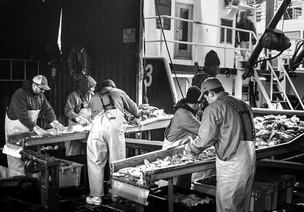5 Things to do in Oamaru, Victorian Whitestone Town 5 Oamaru food