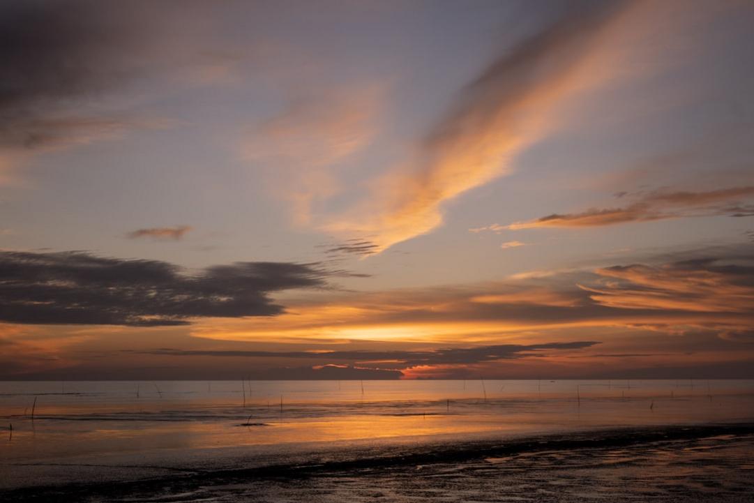 Best Time to Visit Malaysia: Month-by-Month Weather Guide 9 Malaysia - seasonal atmosphere