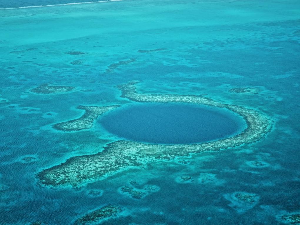 Belize Diving Guide: 13 Dive Sites for Marine Life Encounters 5 Belize diving