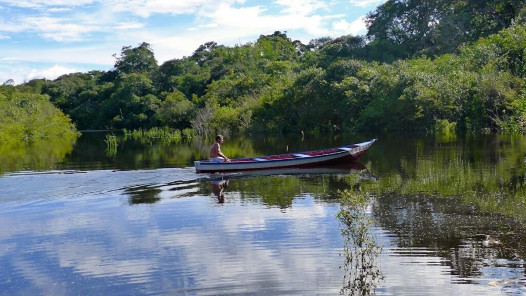 Vaccinations for Brazil: Required and Recommended 1 Brazil Amazon rainforest aerial