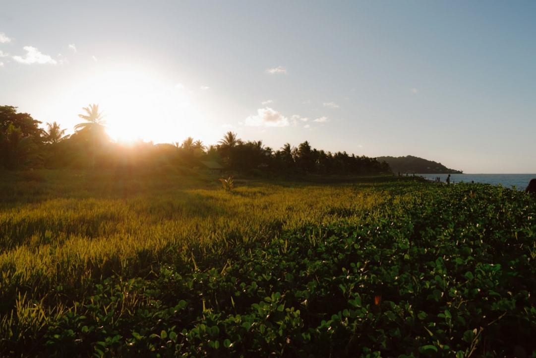 5 Things to do in Cacao, inland village with Hmong market 3 Cacao day plan