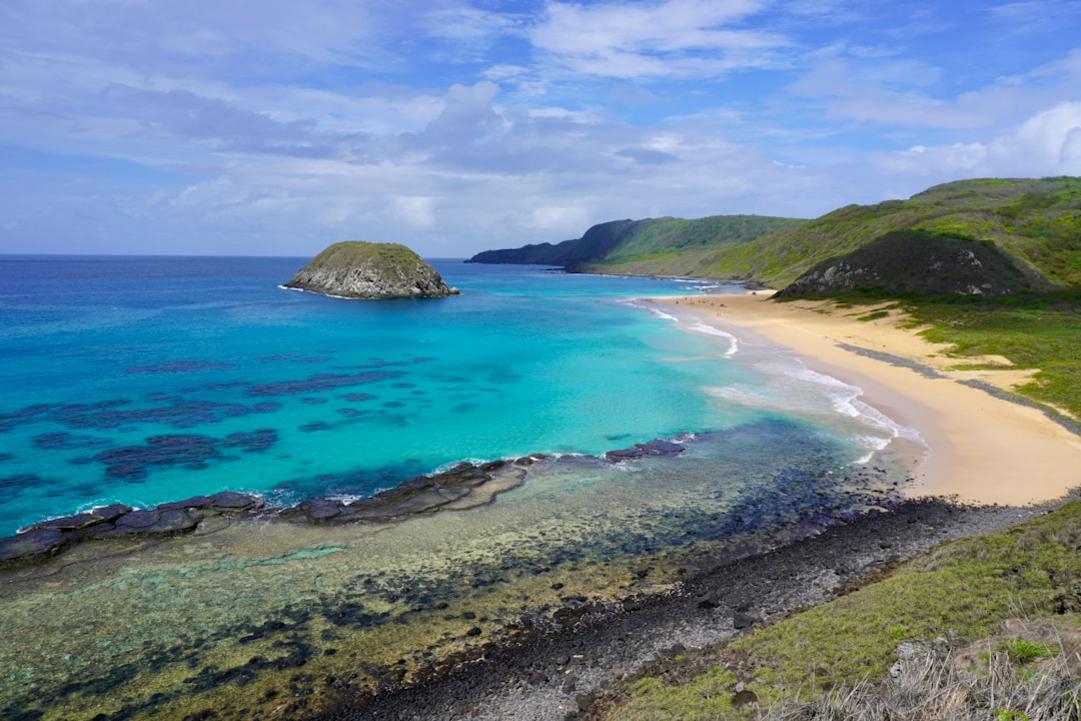 Snorkeling in Brazil: Atlantic Reefs from Fernando de Noronha to Northeast 5 Brazil snorkeling