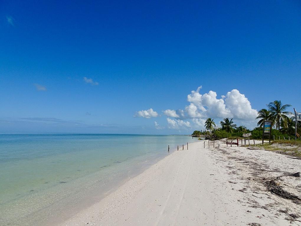8 Things to do in Holbox – Car-Free Island & Whale Sharks 1 The salty breeze mixes with grilled seafood aromas along Holbox’s Punta Cocos beach at sunset.