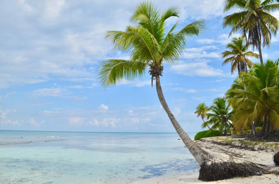 Isla Saona highlights