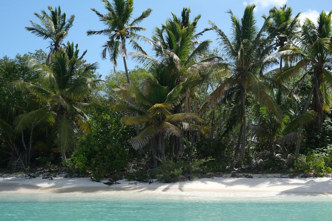 Isla Saona food
