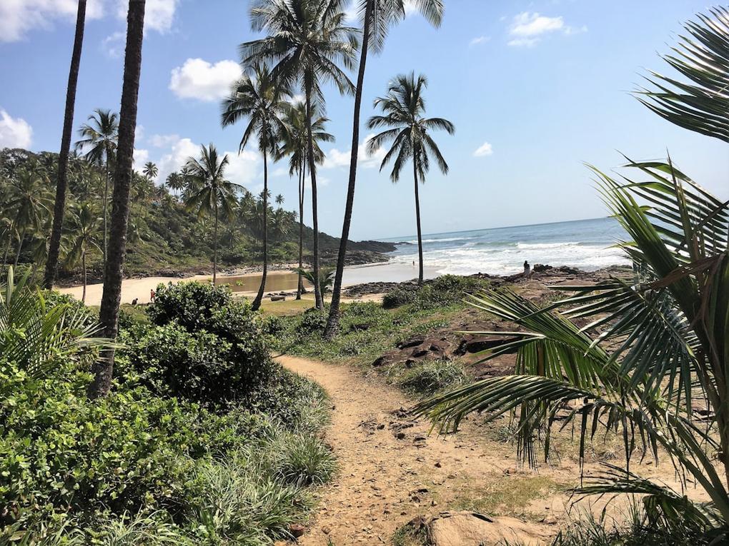 6 Things to do in Itacaré, Surf Town in Bahia 3 Watch the sunset from Resende Beach, where waves roll gently under the Atlantic forest canopy.