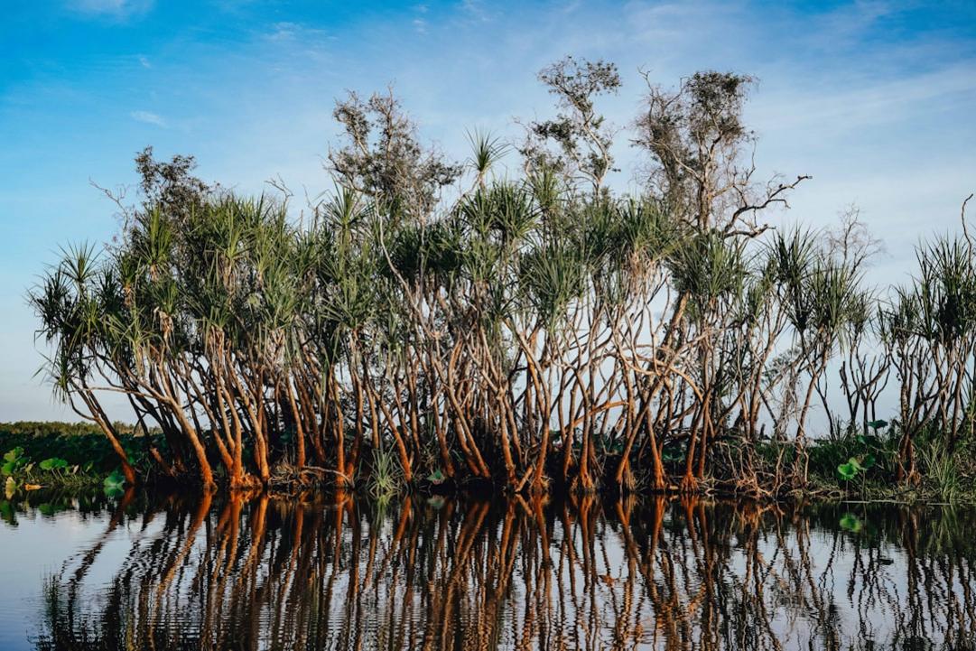 Kakadu National Park highlights
