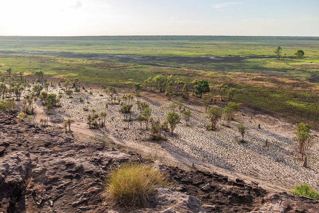 The sharp scent of wet earth rises from Yellow Water billabong at dawn, where crocs glide silently beneath the mirrored surface.
