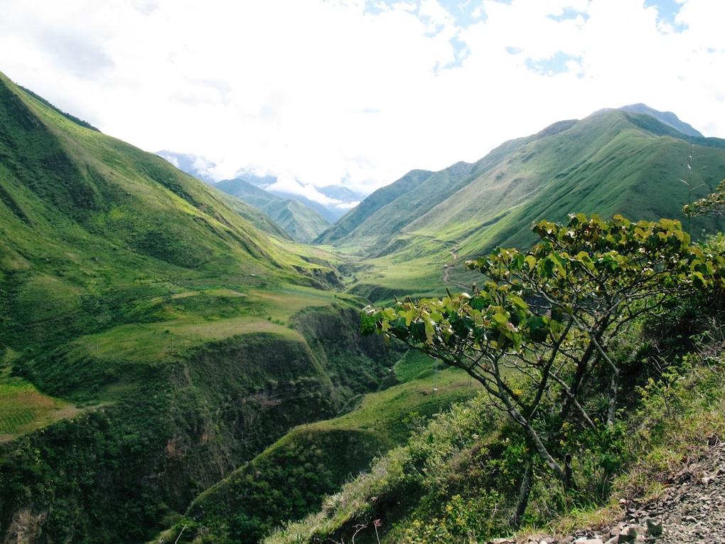 9 Things to do in Mindo: Cloud-Forest Hummingbirds & Chocolate Farms 8 Mindo accommodation