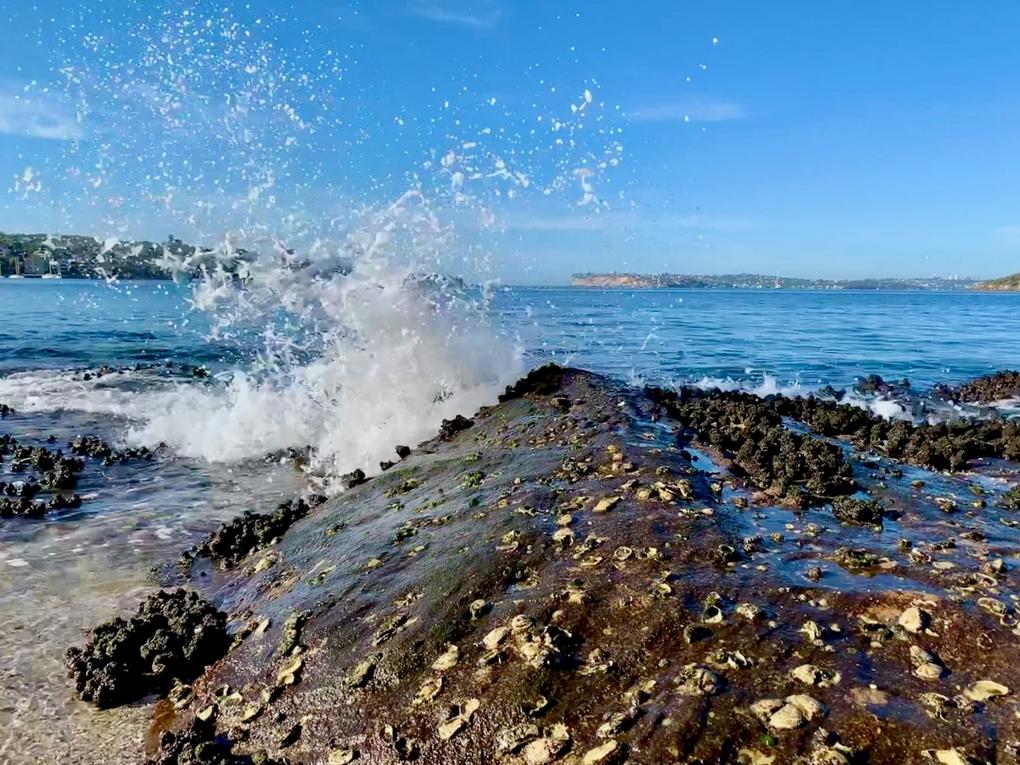 19 Things to do in Sydney: Harbour Icons & Pacific Surf Culture 6 Sydney atmosphere