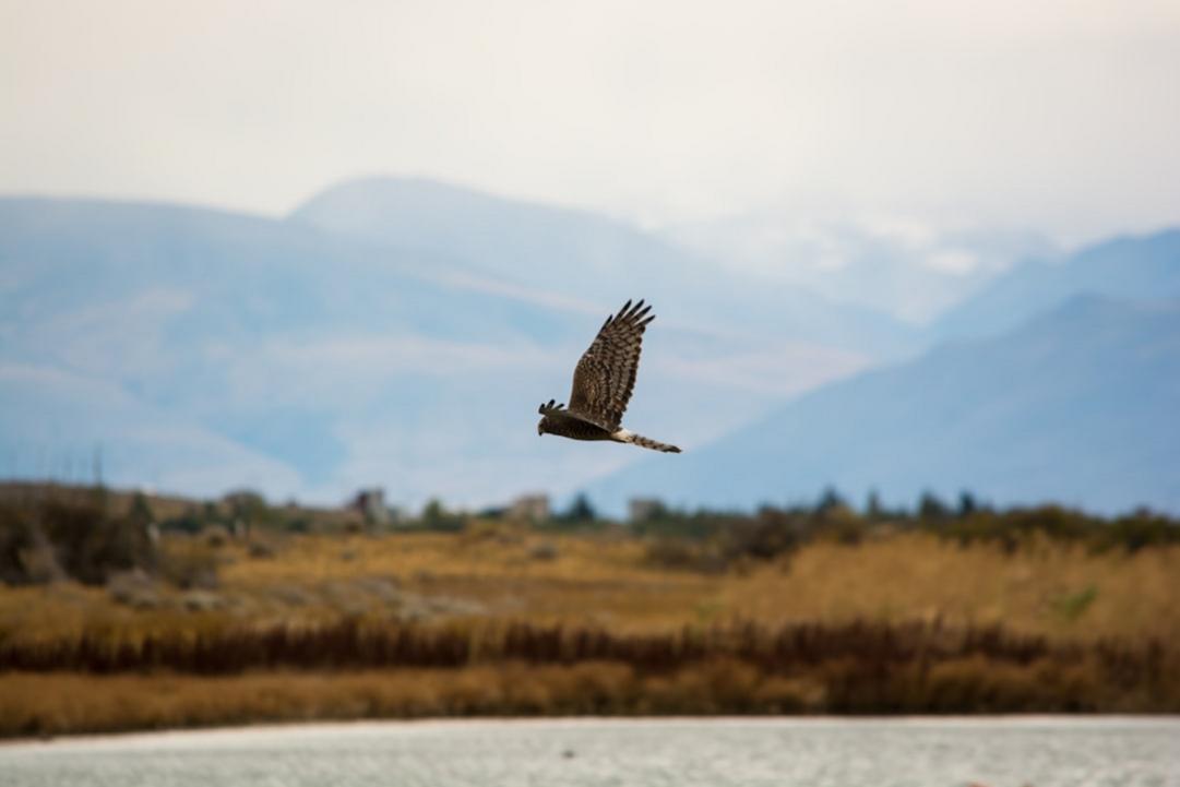 El Calafate vs Puerto Natales