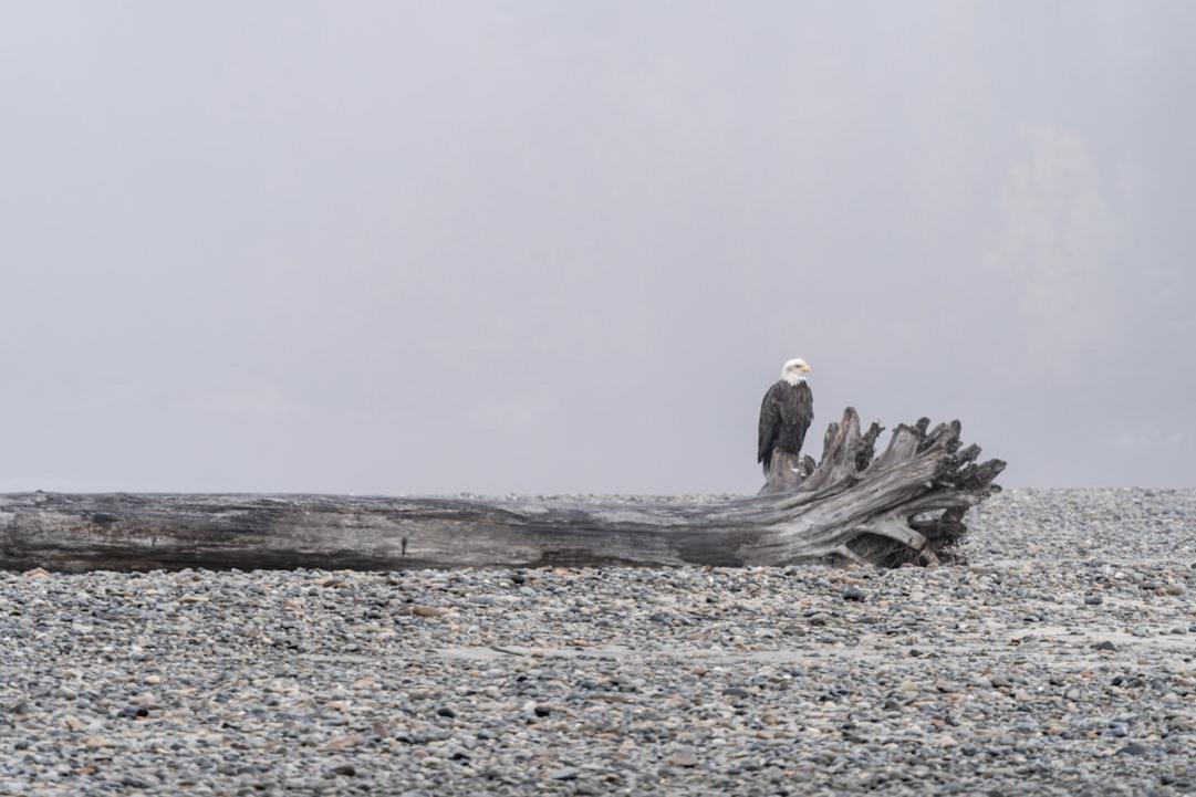 Eagle Beach
