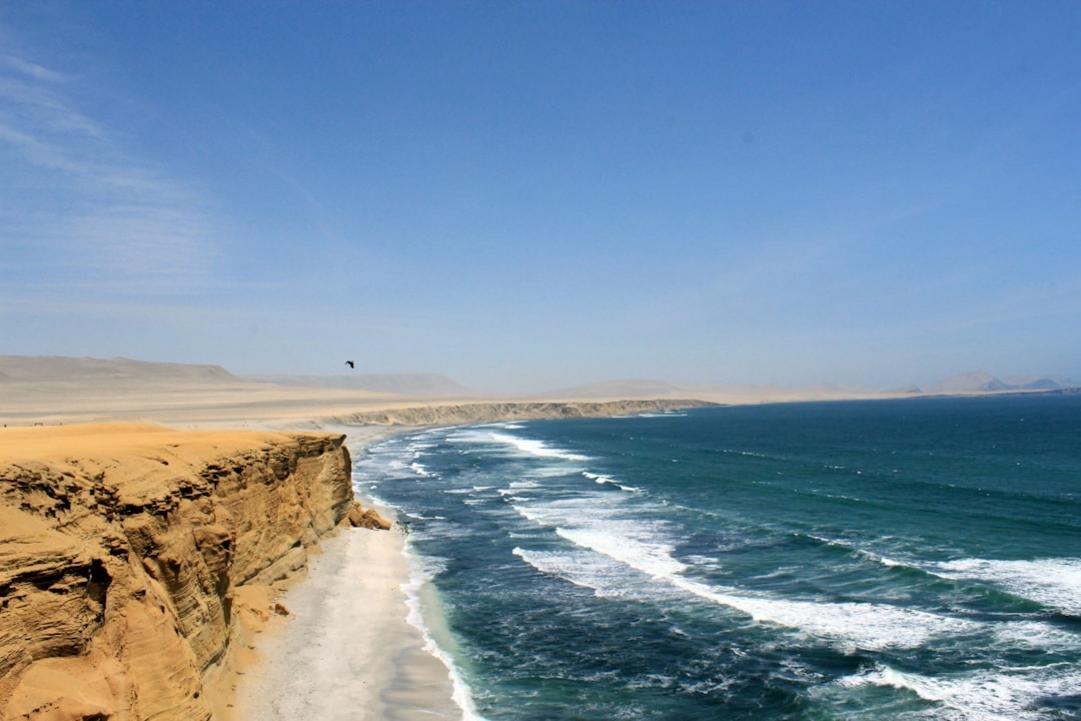 Lima vs Paracas: Which Should You Visit? 4 Lima