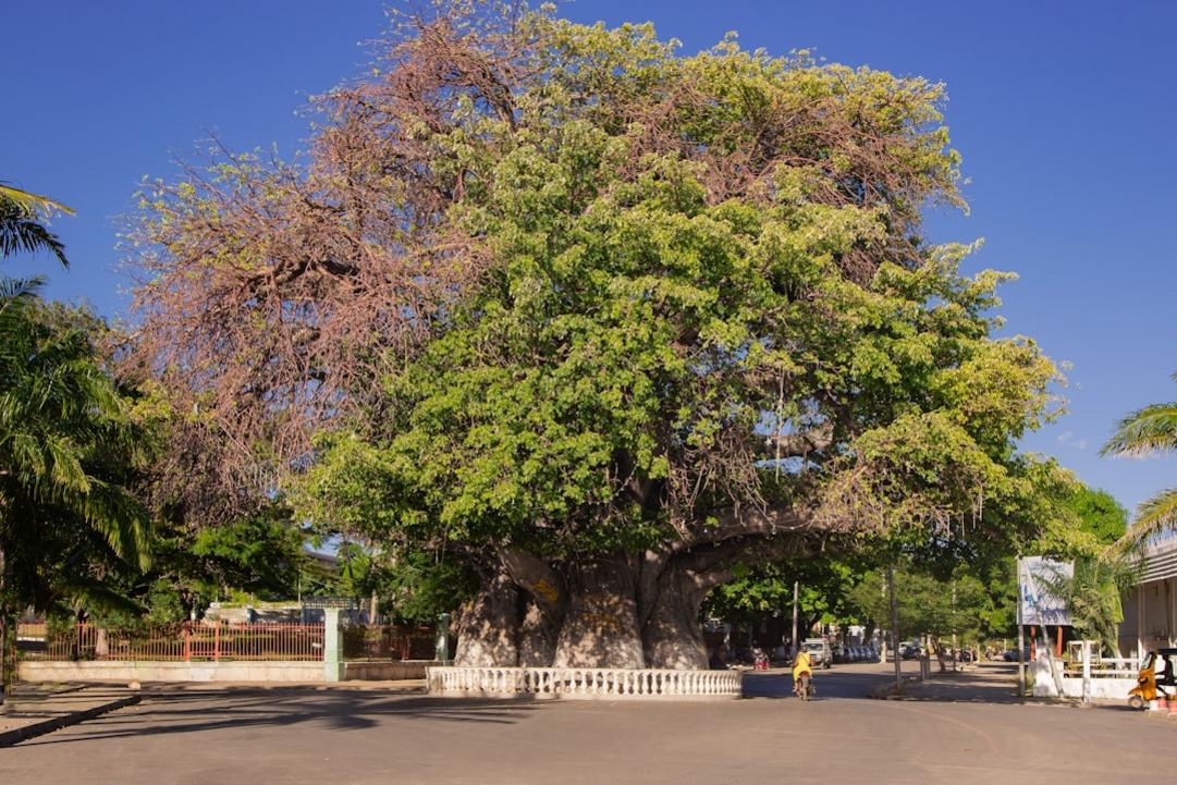Vallee de Mai day plan