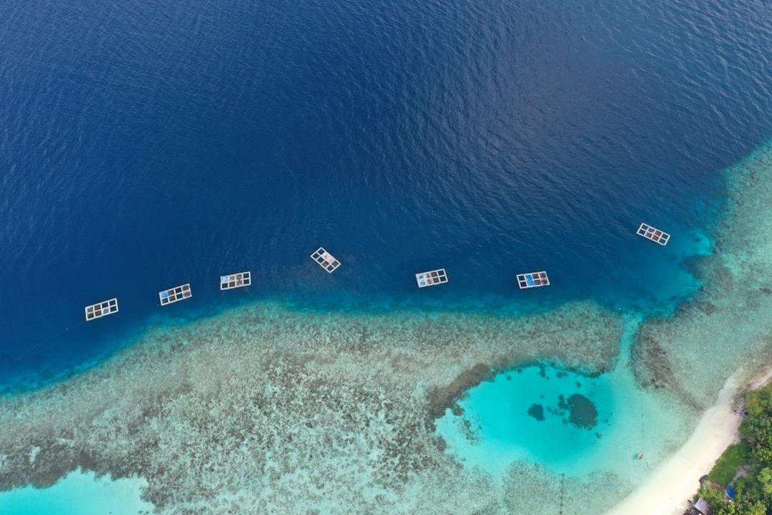 flights to Maldives