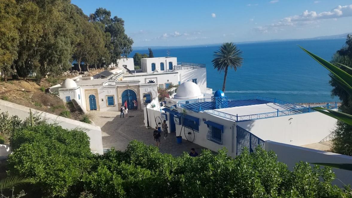 16 Things to do in Sal: Beaches, Salt Pans & Snorkeling 15 Sal food scene