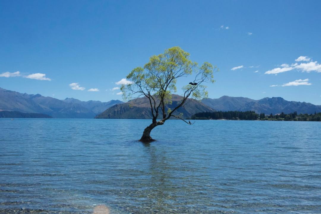 Wanaka