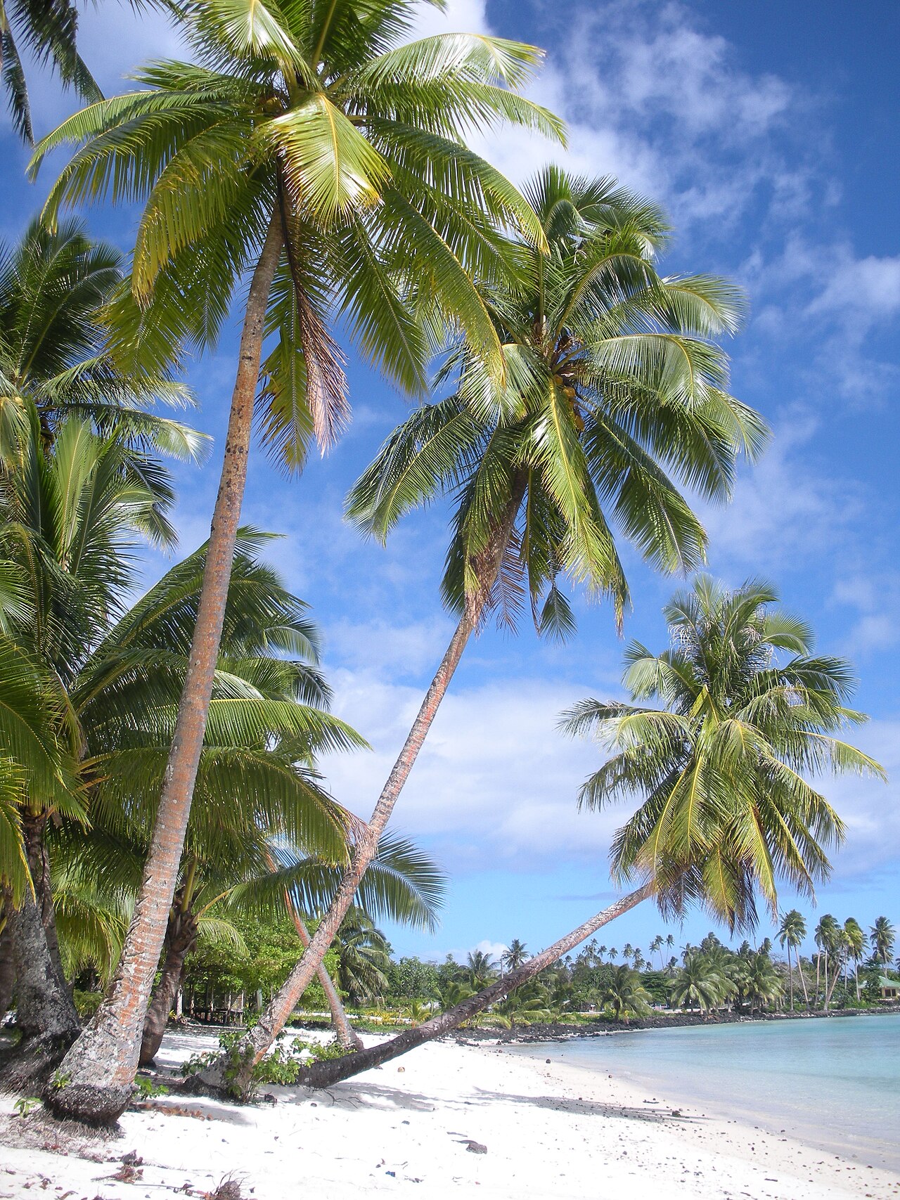 Samoa Beaches 2026: Best Surf, Snorkel & Adventure Spots 7 Return to Paradise Beach, Lefaga village, south coast of Upolu, Samoa