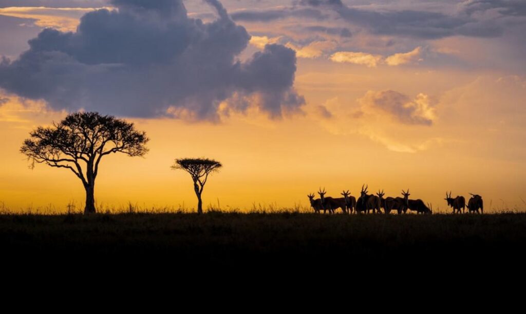 Kenya travel landscape