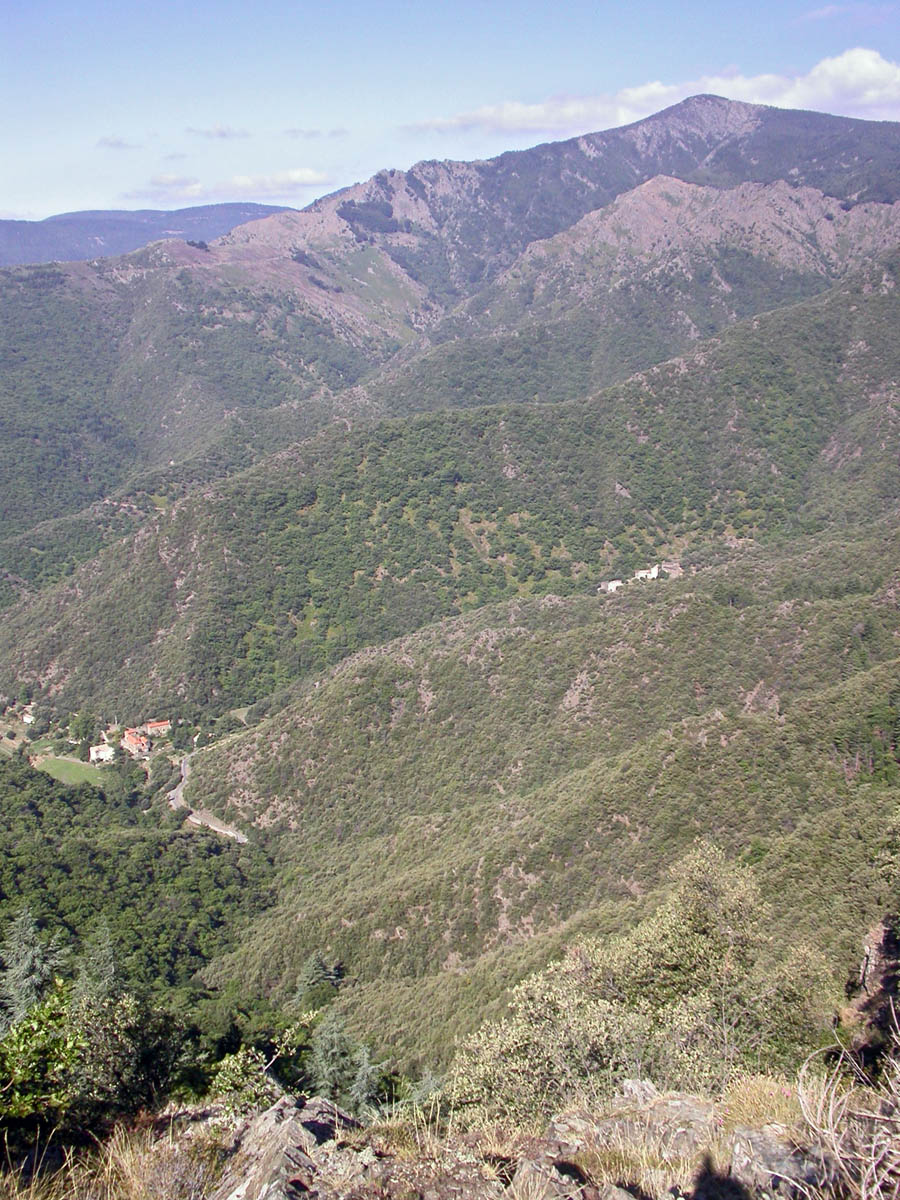 Mont Aigoual, France