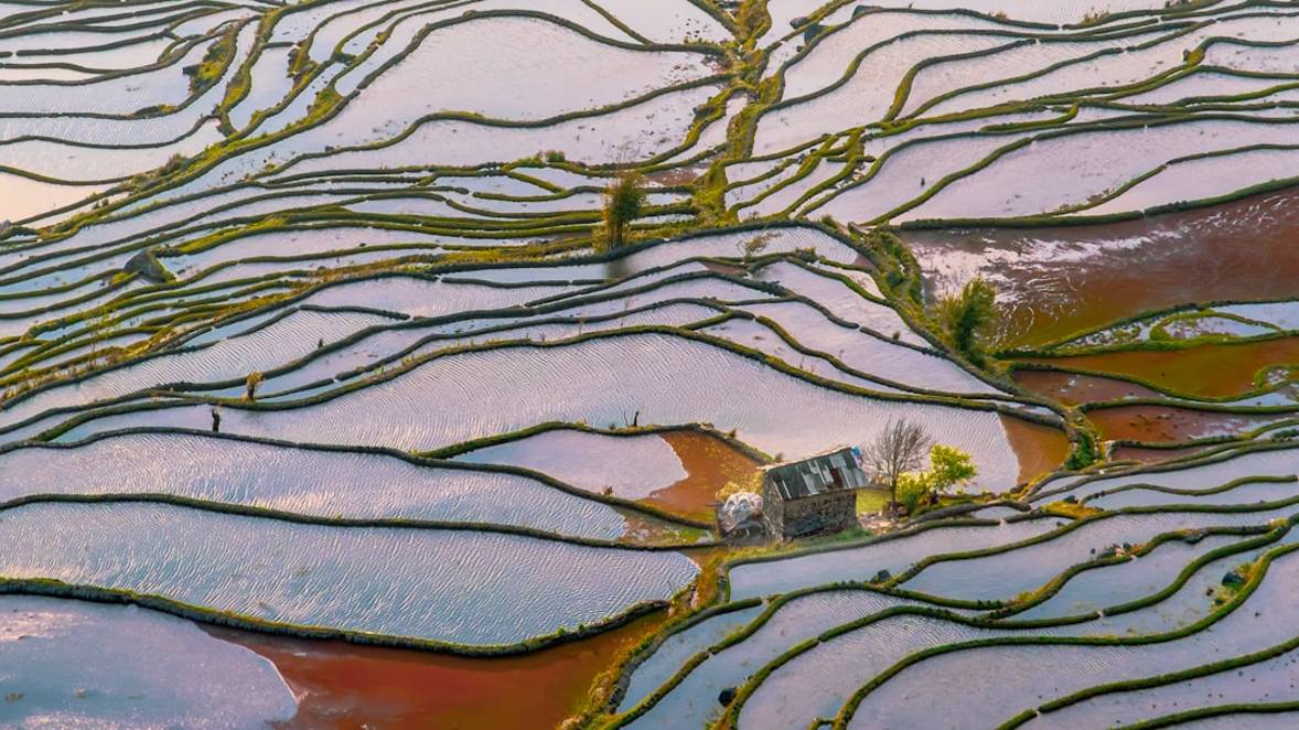 The Best Rated Rice Fields in China 3 China rice-fields overview highlights